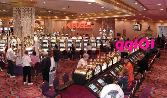 qq101 Live Dealer Tables at Your Fingertips